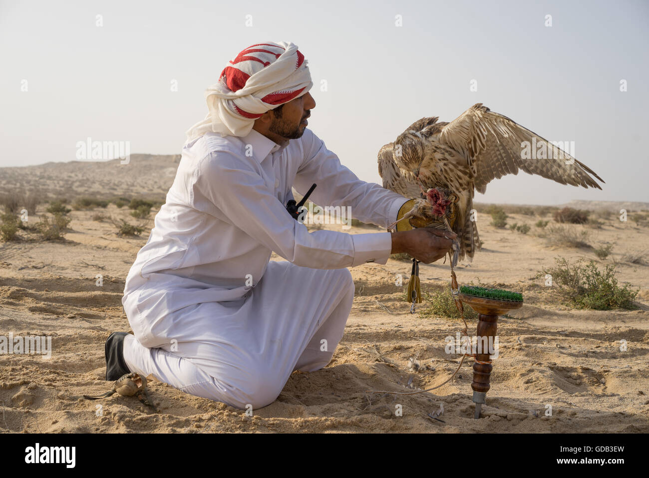 Ein Jäger mit seinen Falken während des Al-Galayel-Jagd-Festivals in Katar. Die jährliche Veranstaltung Gruben Jäger-Teams gegen einander mit traditionellen arabischen Jagdtechniken. Stockfoto