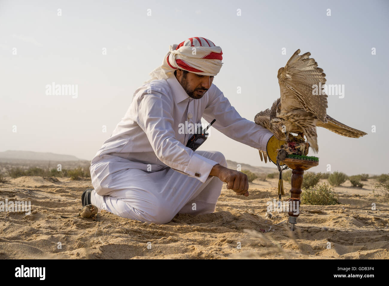 Ein Jäger mit seinen Falken während des Al-Galayel-Jagd-Festivals in Katar. Die jährliche Veranstaltung Gruben Jäger-Teams gegen einander mit traditionellen arabischen Jagdtechniken. Stockfoto