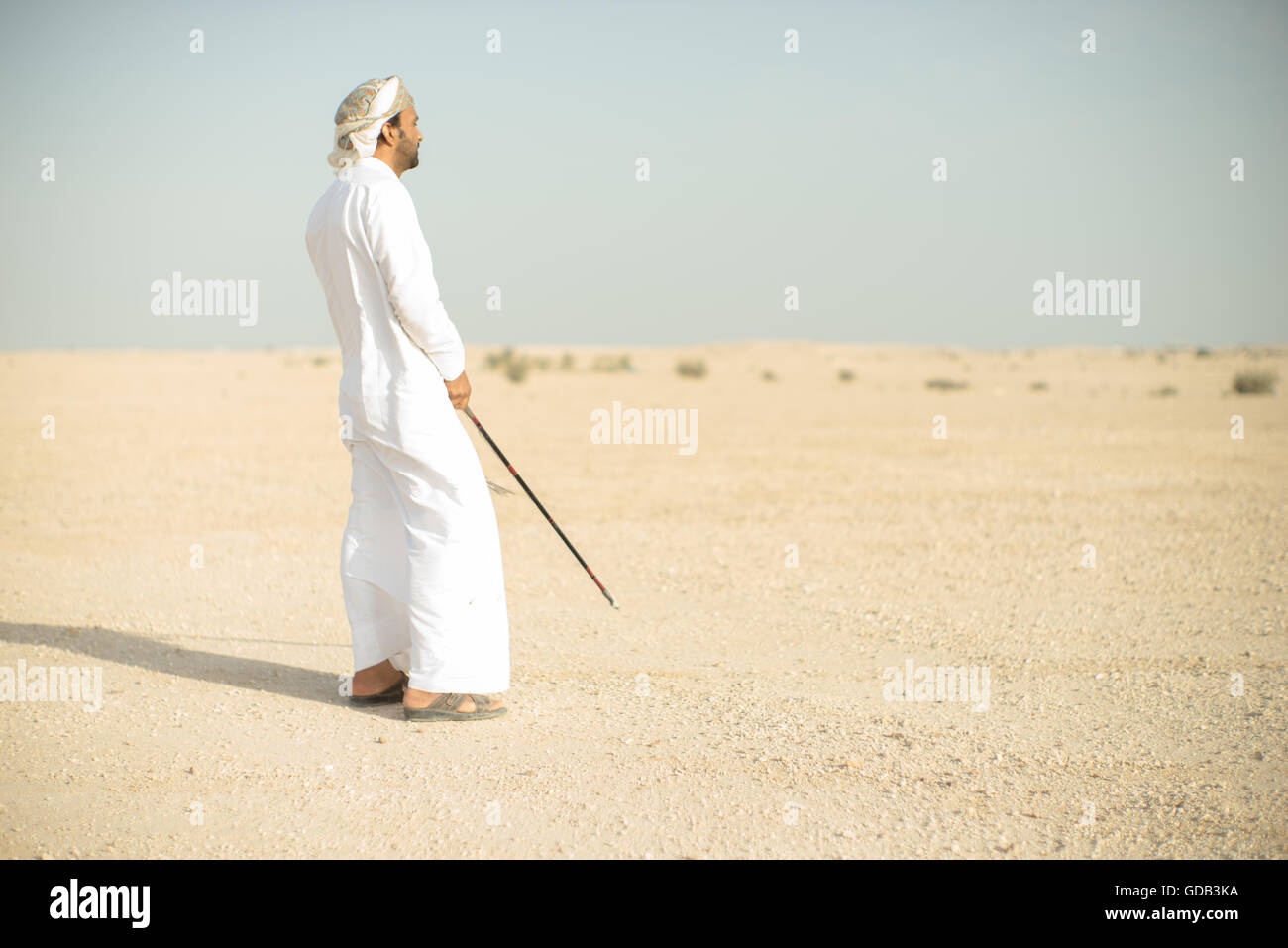 Ausbildung Falken nördlich von Doha, Katar. Neben traditionellen Techniken wie Köder, modernen arabischen Falknern machen Technologie einschließlich 4 x 4 Fahrzeuge, Drohnen und Radiotelemetrie. Stockfoto