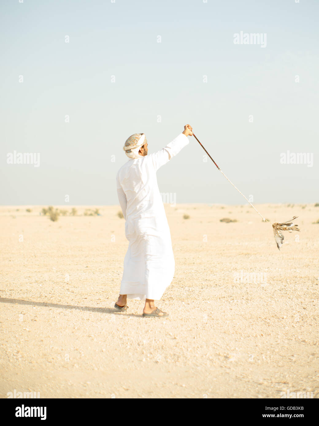 Ausbildung Falken nördlich von Doha, Katar. Neben traditionellen Techniken wie Köder, modernen arabischen Falknern machen Technologie einschließlich 4 x 4 Fahrzeuge, Drohnen und Radiotelemetrie. Stockfoto
