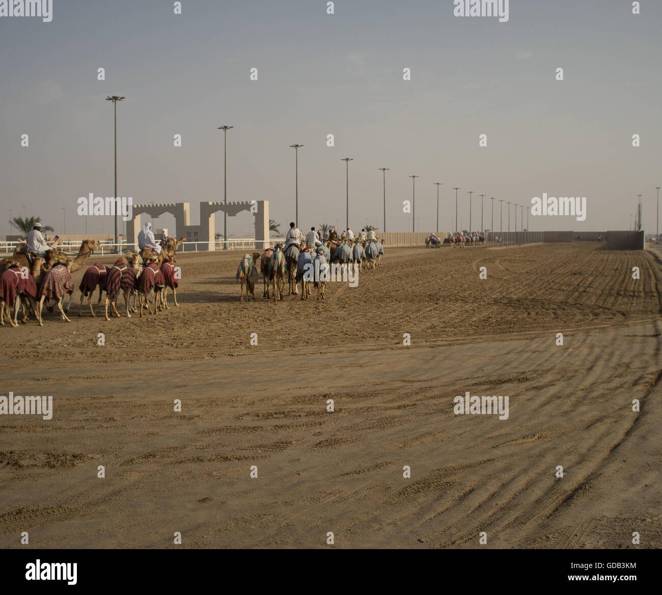 Vorbereitung für ein großes Rennen bei der Camel-Rennstrecke, Al Shahiniya, nördlich von Doha, Katar. Stockfoto
