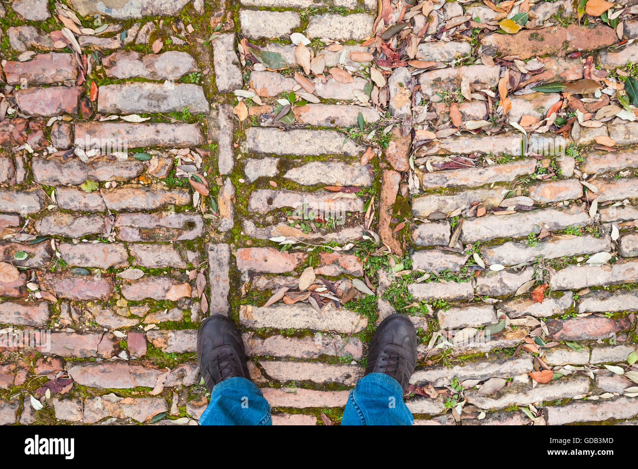 Männliche Füße in Lederschuhe auf alten Kopfsteinpflaster mit Grass Ans Laub, erste Person anzeigen Stockfoto