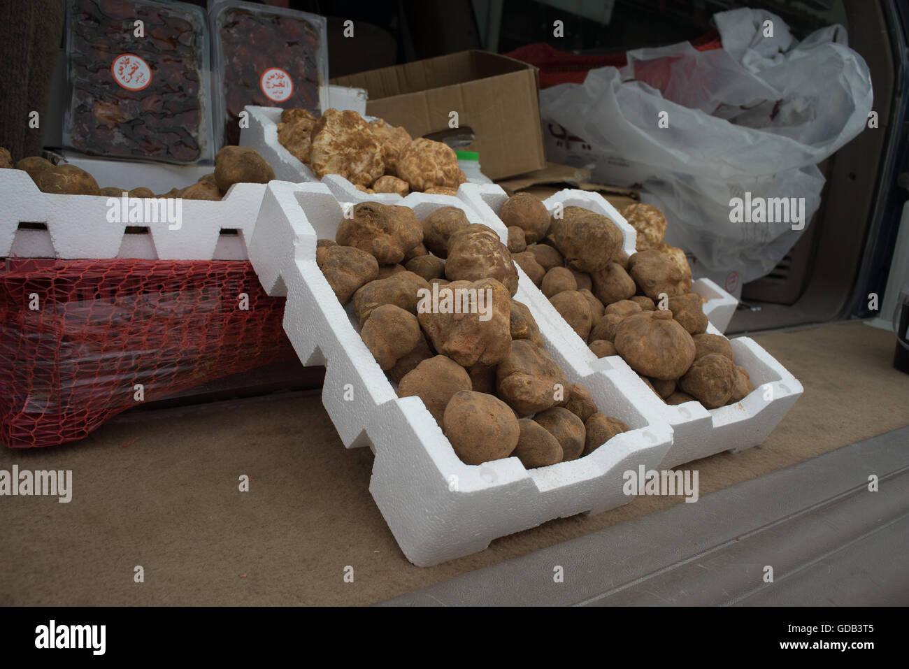 Seltene Wüste Trüffel zum Verkauf an die Kamelrennen verfolgen, Al Shahiniya, nördlich von Doha, Katar. Stockfoto