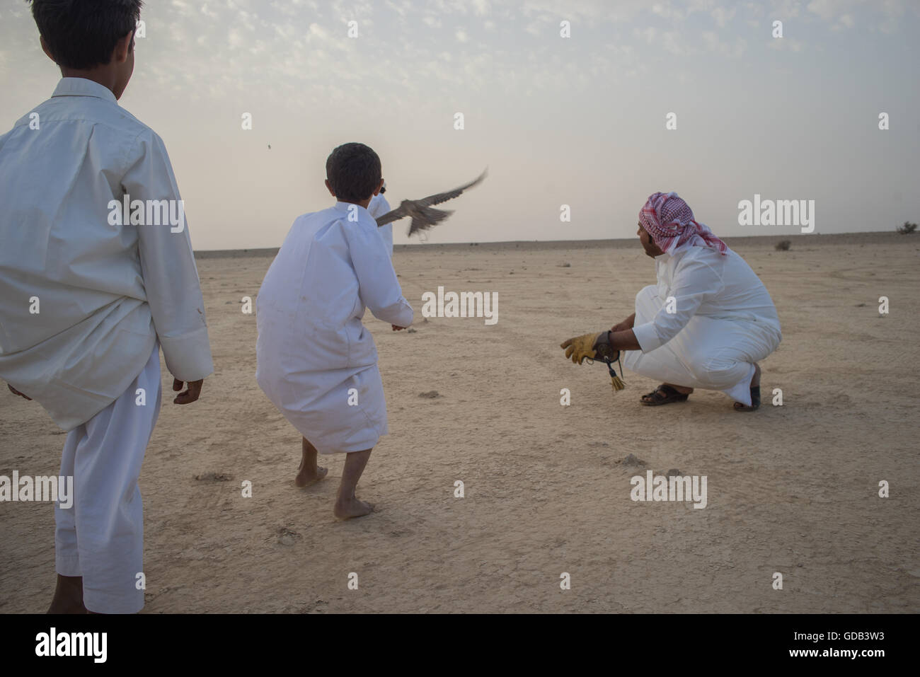 Ausbildung Falken nördlich von Doha, Katar. Neben traditionellen Techniken wie Köder, modernen arabischen Falknern machen Technologie einschließlich 4 x 4 Fahrzeuge, Drohnen und Radiotelemetrie. Stockfoto