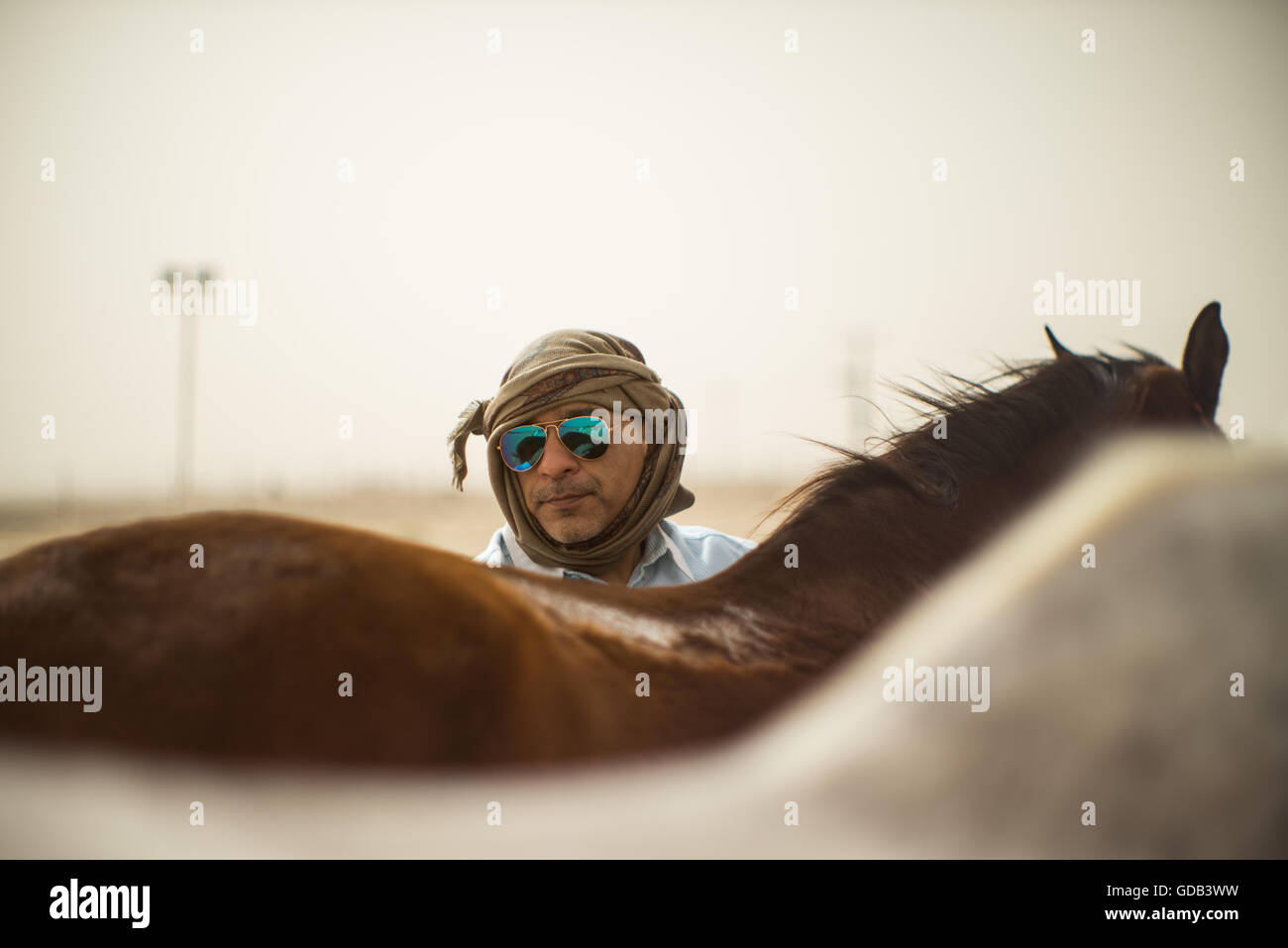 Touristen mit arabischen Pferden, Kamel und Pferd Bauernhof, in der Nähe von Kamel-Rennstrecke, Al Shahiniya, nördlich von Doha, Katar. Stockfoto
