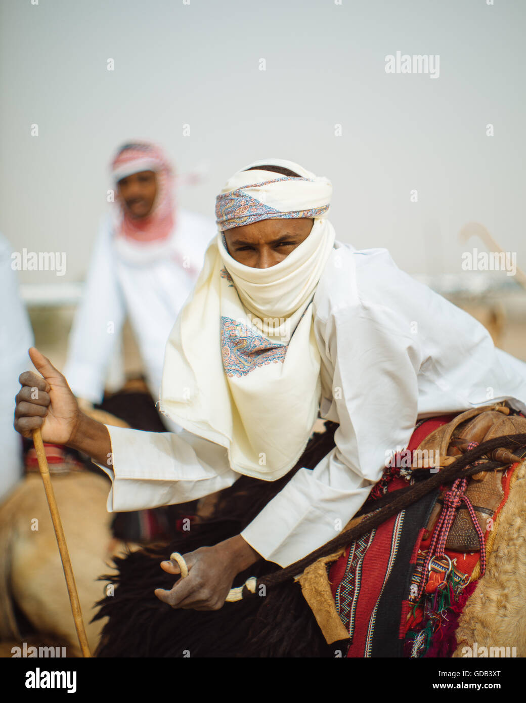 Kamel Trainer mit ihren Kamelen, Kamel-Farm in der Nähe der Kamelrennen verfolgen, Al Shahiniya, nördlich von Doha, Katar. Stockfoto