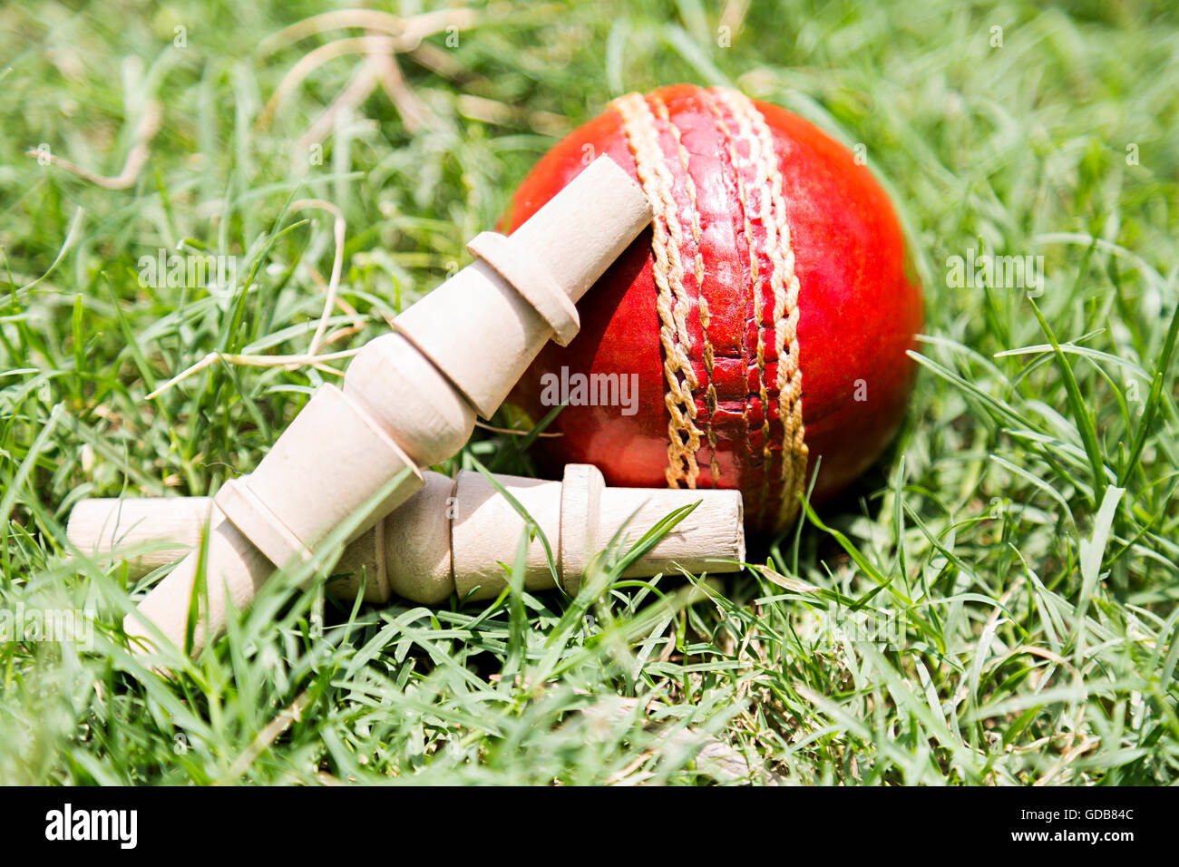 Spielplatz Gras cricket Kautionen und Ball niemand Stockfoto