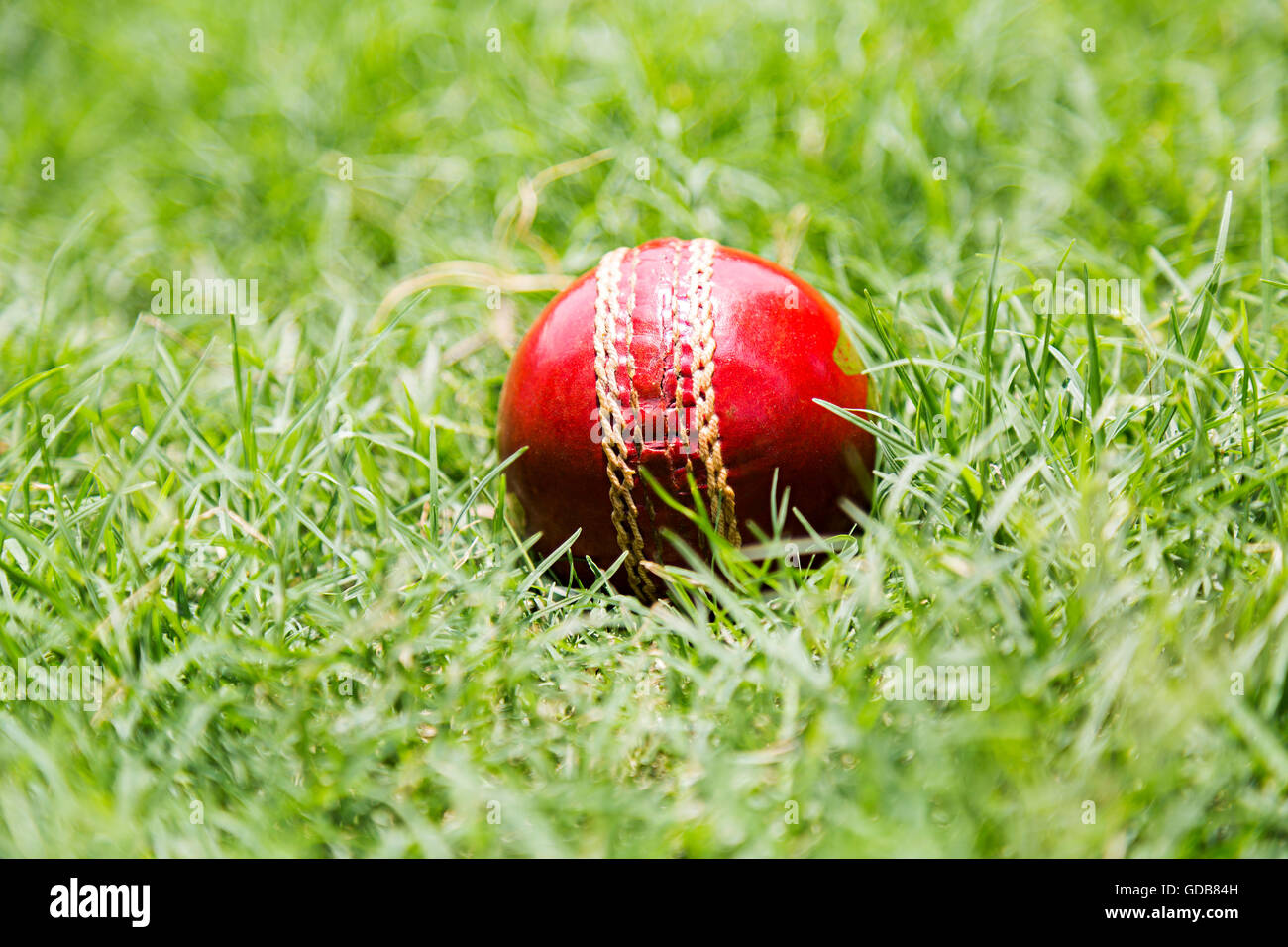 Spielplatz Gras cricket Leder Ball niemand Stockfoto