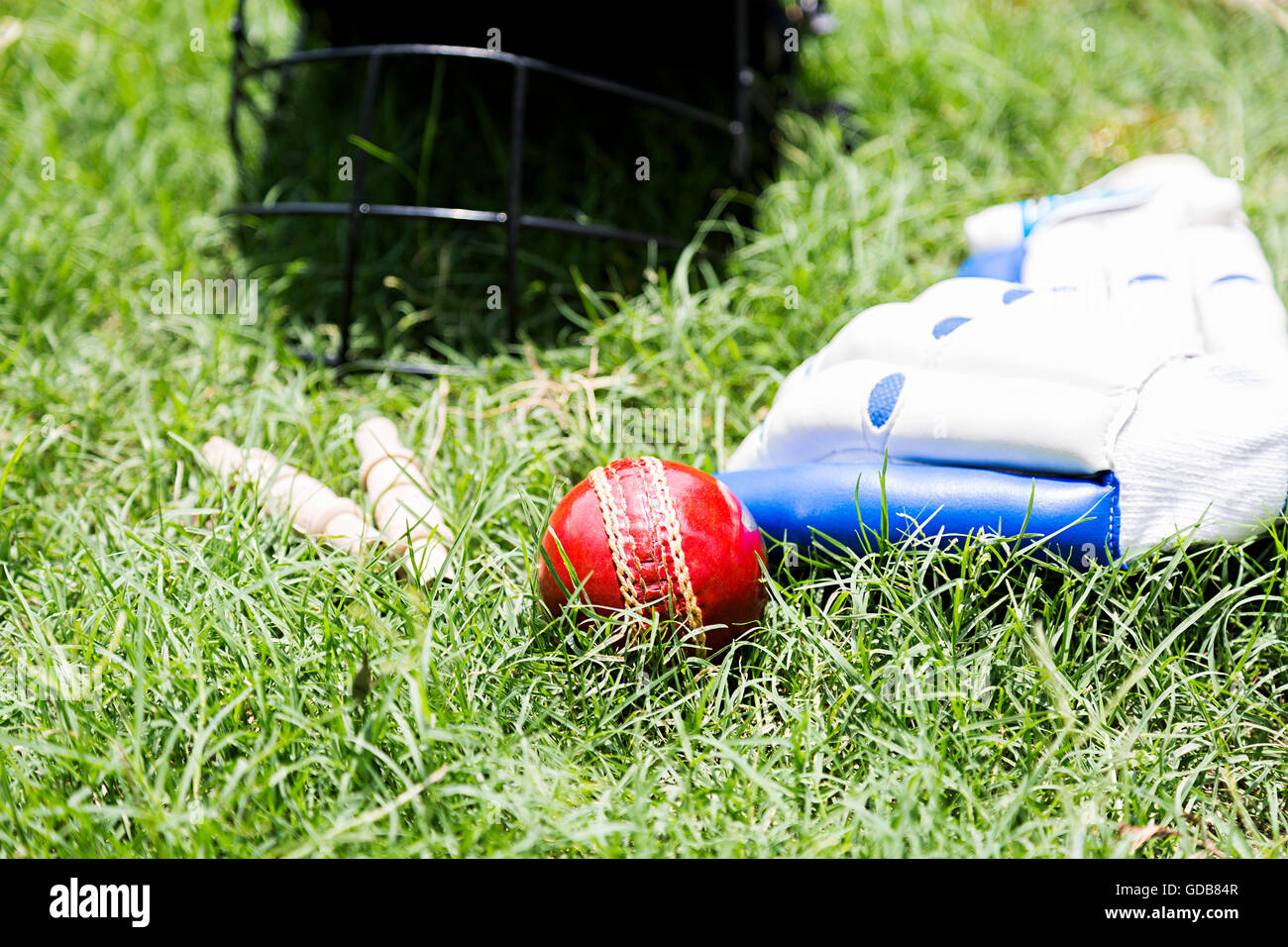 Spielplatz gras Cricket equipment Kugel, Kautionen, Handschuhe, Helm Stockfoto