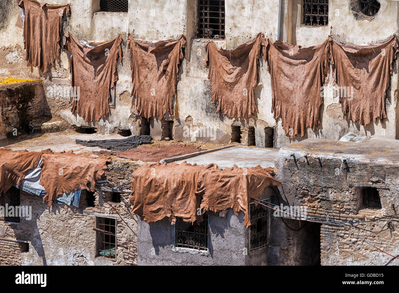 Gebräunte tierischen Fähigkeiten an Wand zum Trocknen hängen. Gerberei von Fès, Marokko. Stockfoto