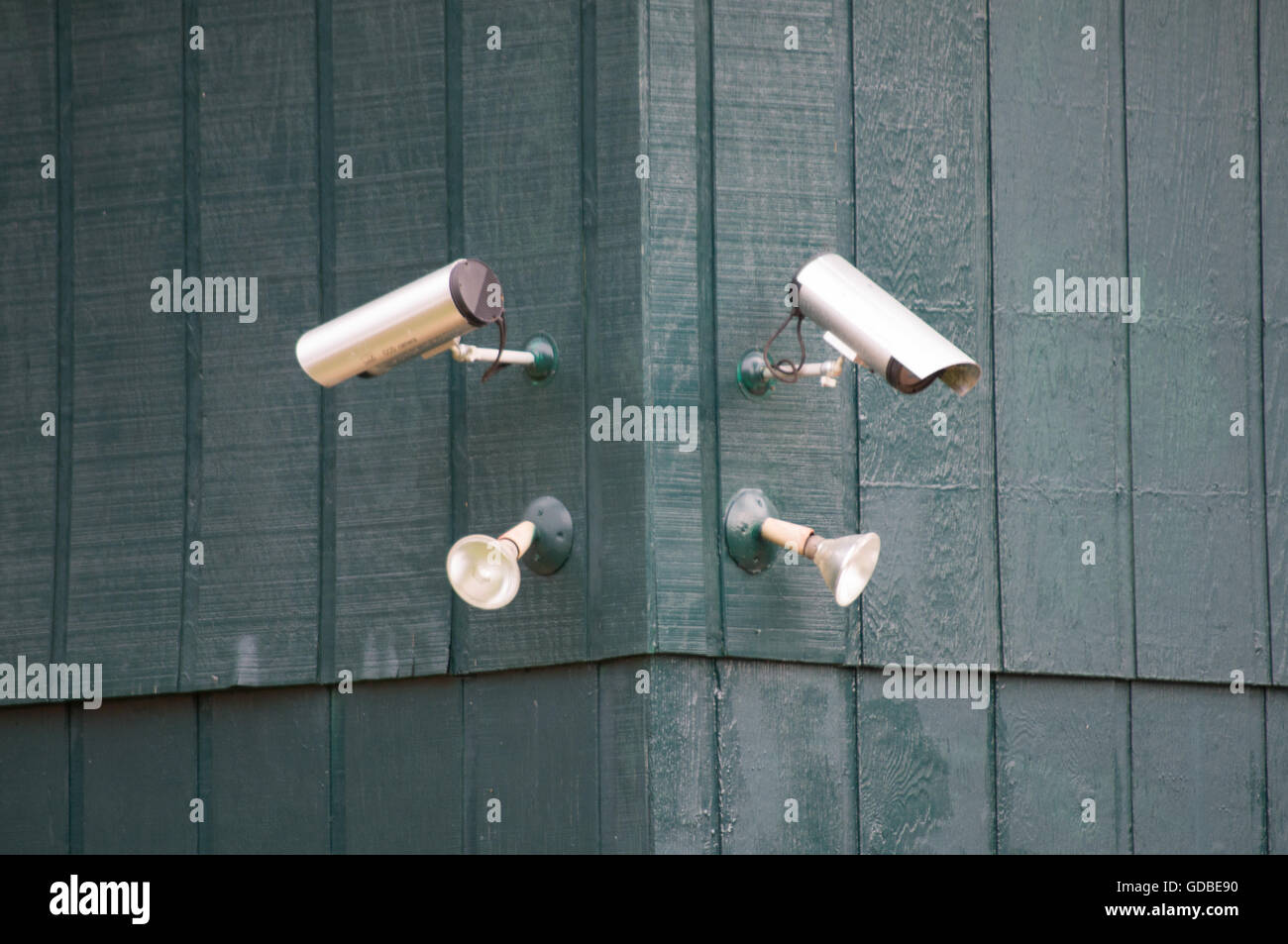 Zwei Überwachungskameras und Sicherheits-Licht auf abgewinkelten grünes Holz für einen Hintergrund. Stockfoto