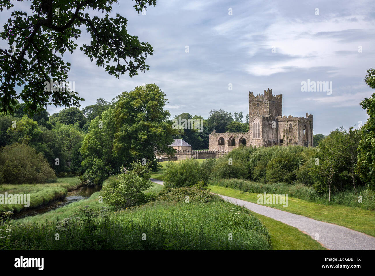 Tintern Abbey - die Ruinen der Zisterzienser-Abtei liegt auf der Halbinsel Hook, County Wexford, Irland. Stockfoto