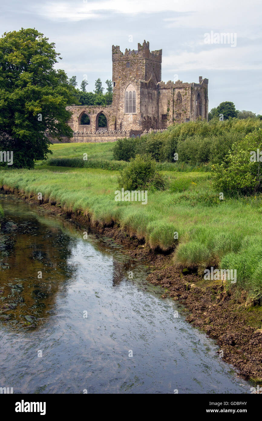 Tintern Abbey - die Ruinen der Zisterzienser-Abtei liegt auf der Halbinsel Hook, County Wexford, Irland. Stockfoto