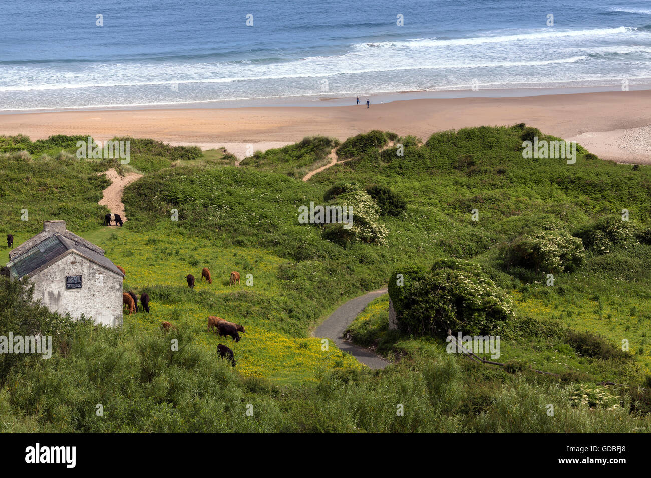 White Park Bay in der Nähe von Ballycastle, County Antrim an der Küste Nordirlands. Stockfoto