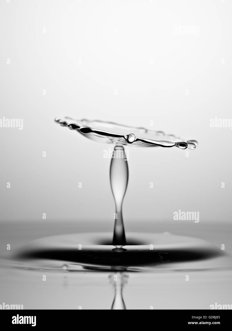 Wasser Tropfen Kollision Makro, schwarz und weiß Stockfoto