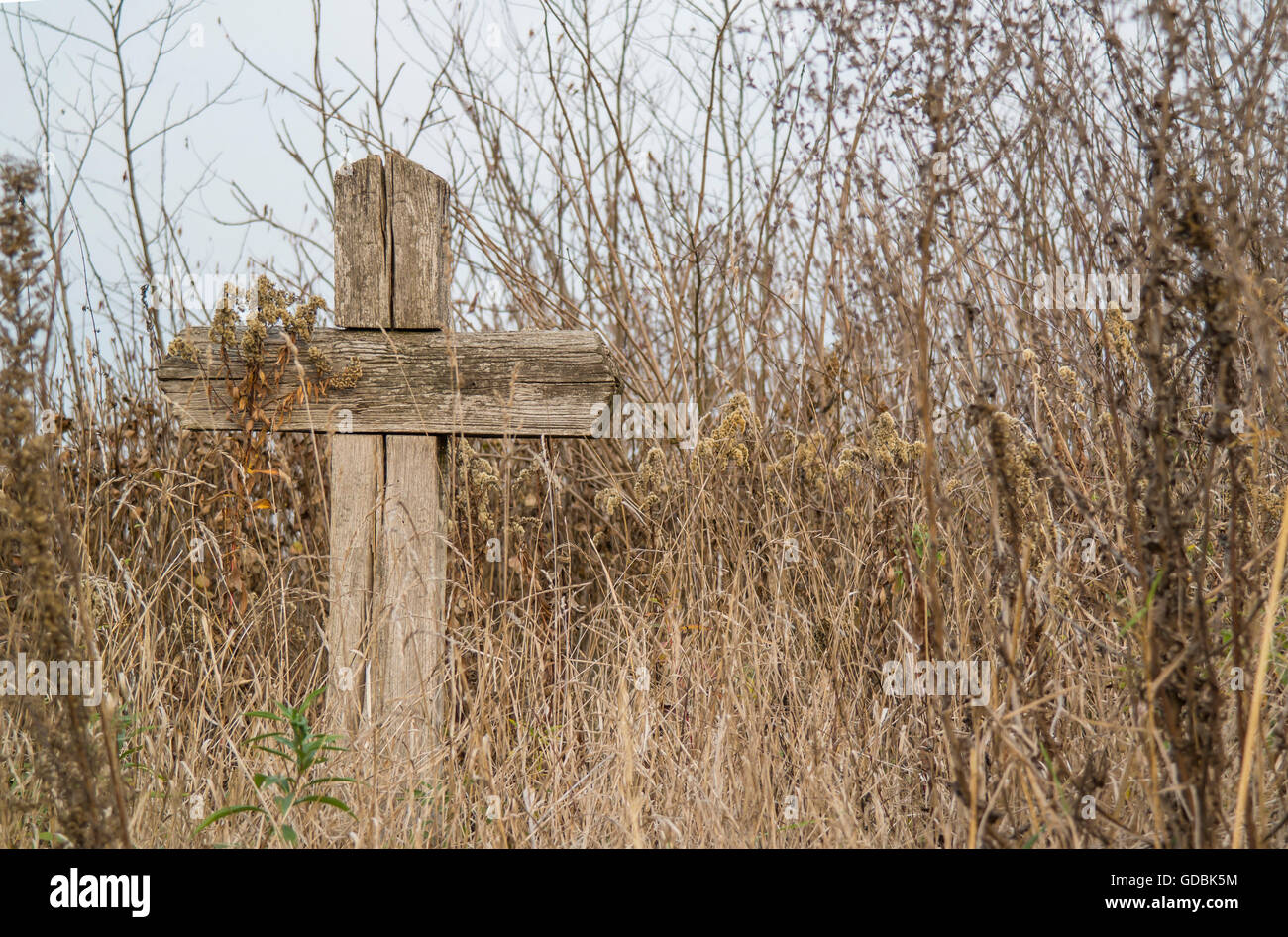 Eine einsame alte Holzkreuz im trockenen Gestrüpp. Stockfoto