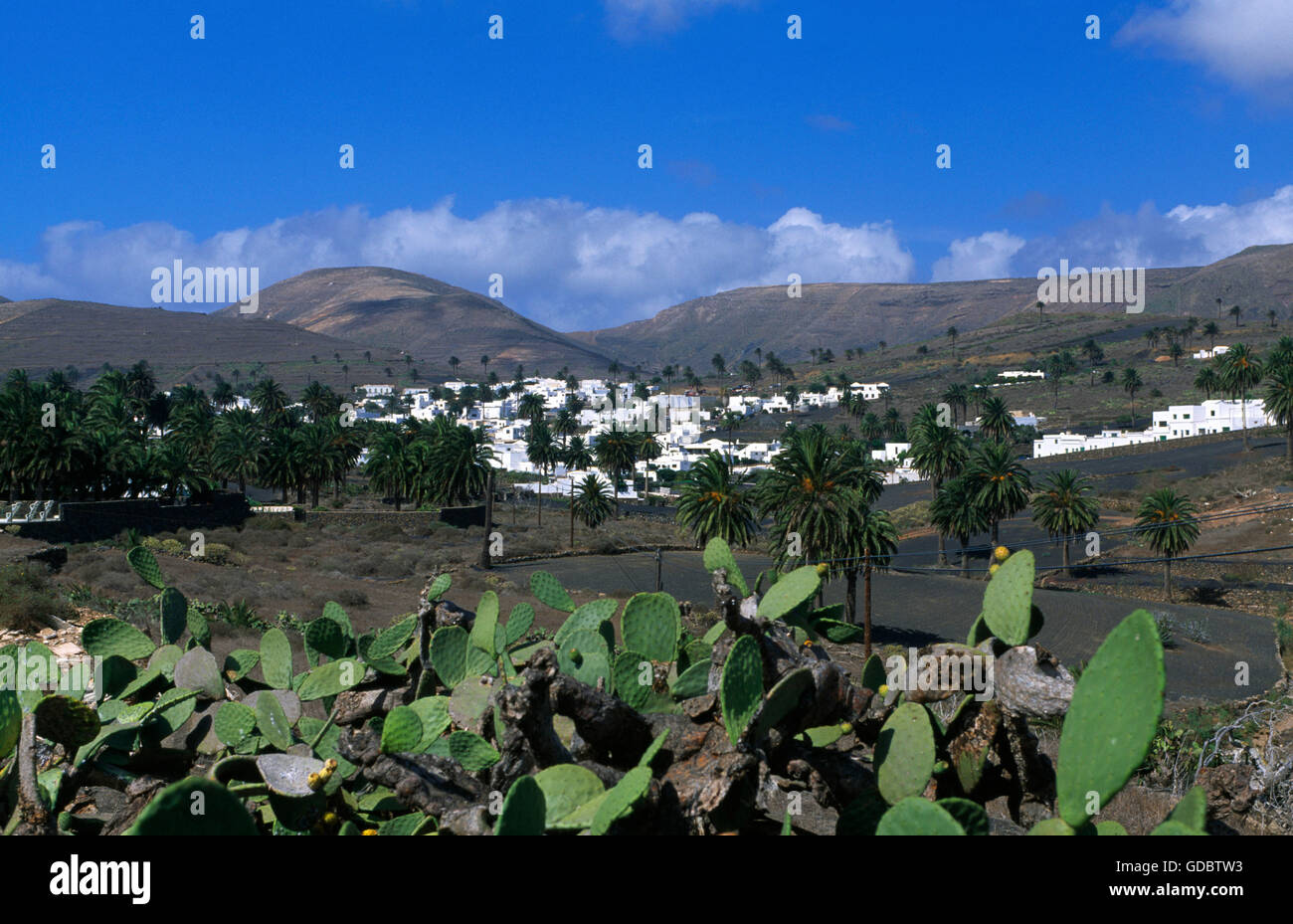 Haria, Lanzarote, Kanarische Inseln, Spanien Stockfoto