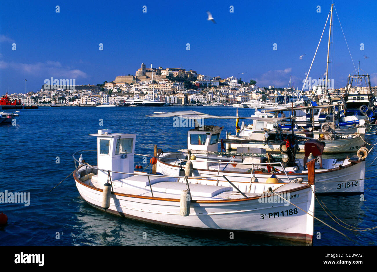 Angelboote/Fischerboote im Hafen Ibiza-Stadt, Ibiza, Balearen, Spanien Stockfoto