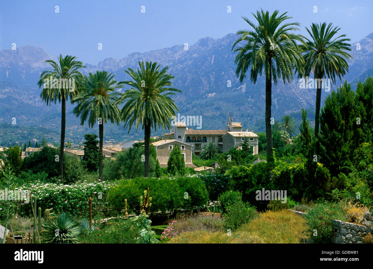 Botanischer Garten Soller Mallorca Balearen Spanien Stockfoto