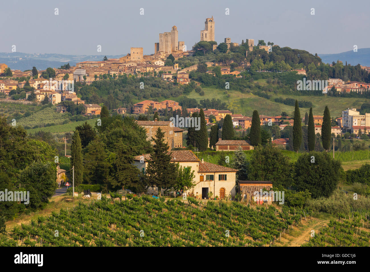San Gimignano, Provinz Siena, Toskana, Italien. Überblick über Landschaft. Weinberge, Bauernhaus. Stockfoto