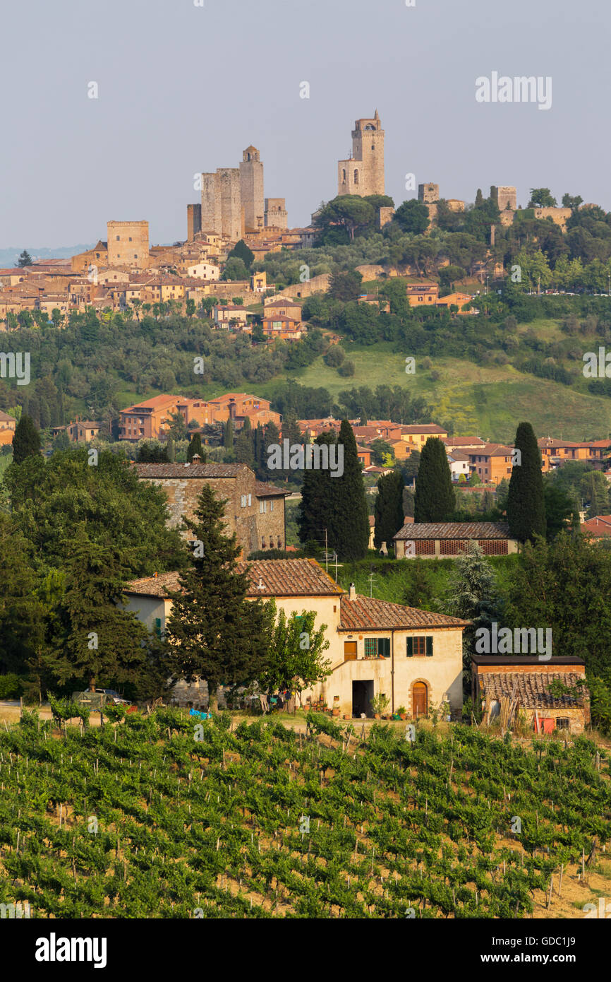 San Gimignano, Provinz Siena, Toskana, Italien. Überblick über Landschaft. Weinberge, Bauernhaus. Stockfoto