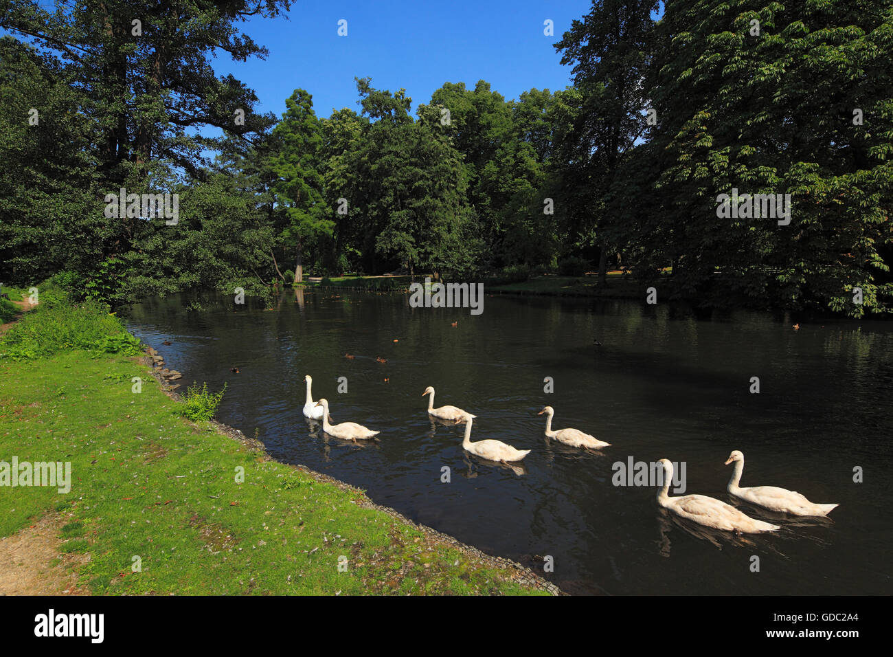 Schlosspark und Stadt Graben in Moers, Niederrhein, Nordrhein-Westfalen Stockfoto