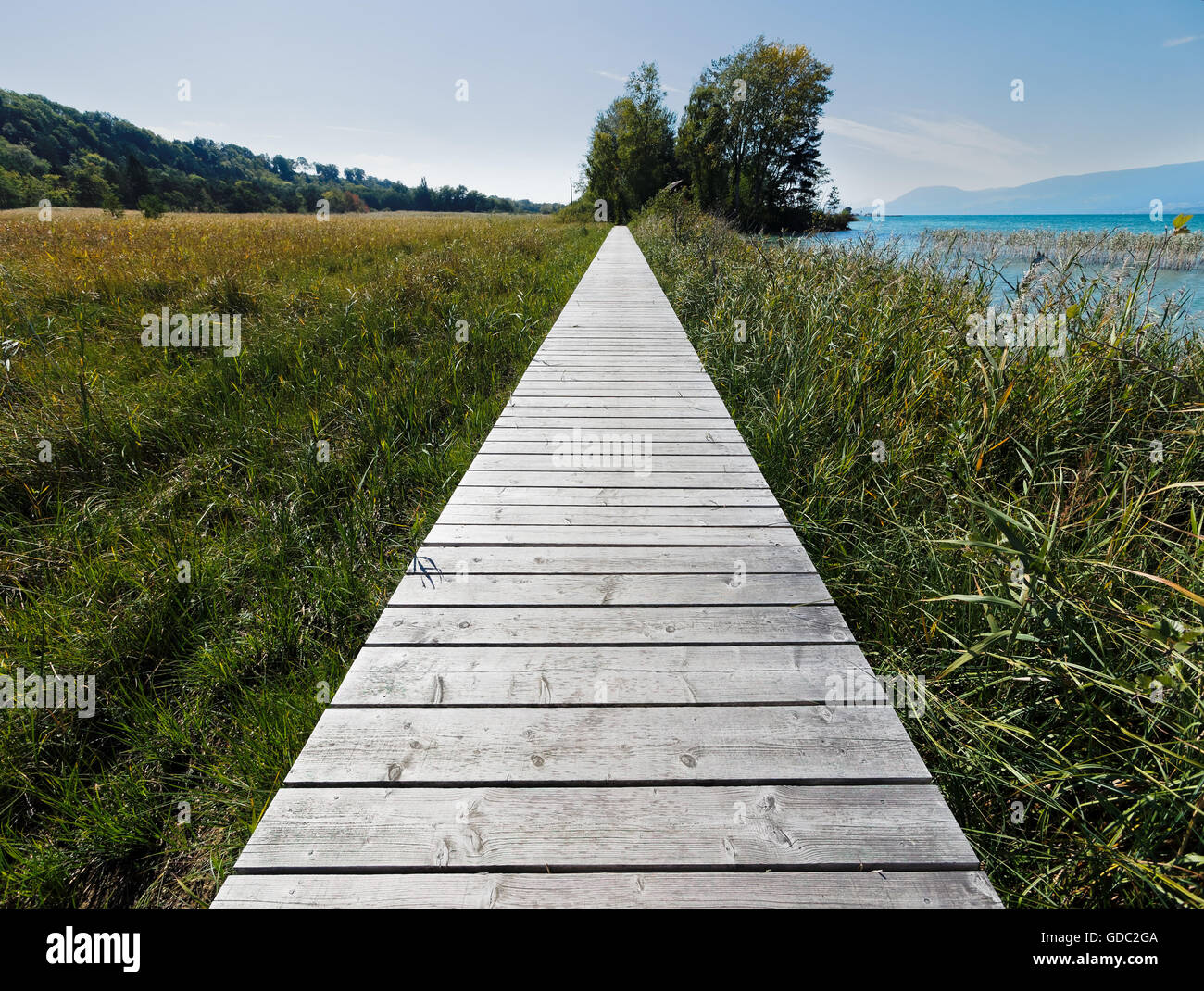 Fußgängerbrücke, Ried Stockfoto