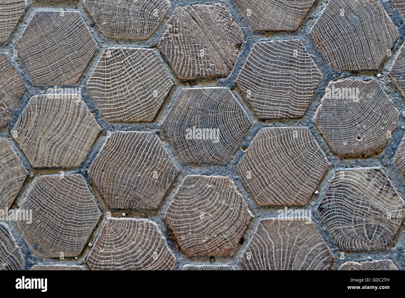 Schloss Schönbrunn, Parkettboden Stockfoto