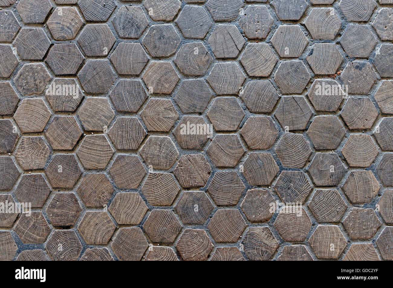 Schloss Schönbrunn, Parkettboden Stockfoto