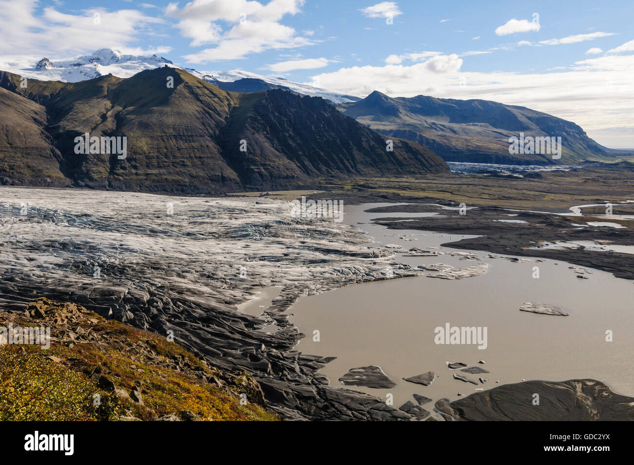 Gletscher Skaftafellsjökull im Nationalpark Vatnajökull im Süden Islands. Stockfoto