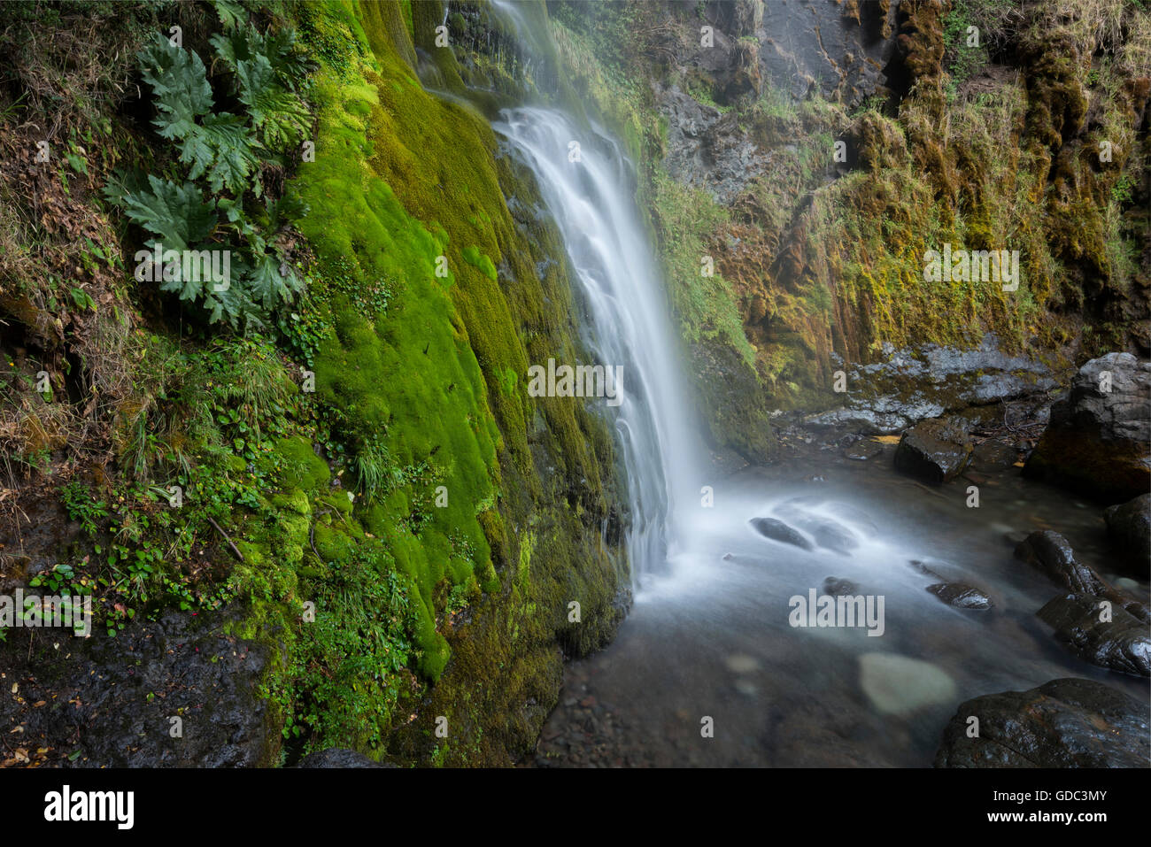 Südamerika, Argentinien, Patagonien, Rio Negro, Esquel, Wasserfall im Nationalpark Los Alerces, Stockfoto