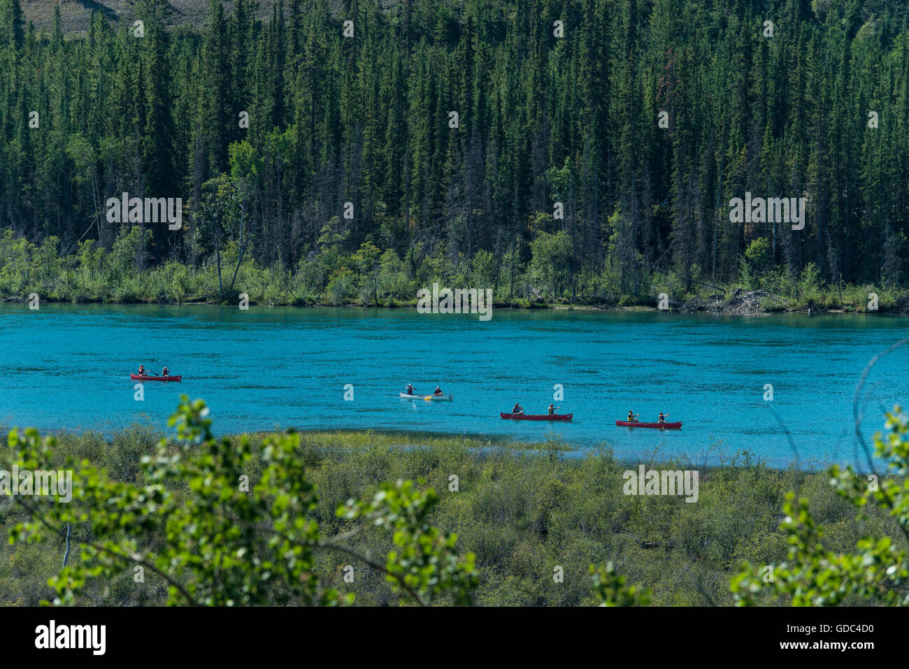 Kanuten am Yukon River, Kanada Stockfoto