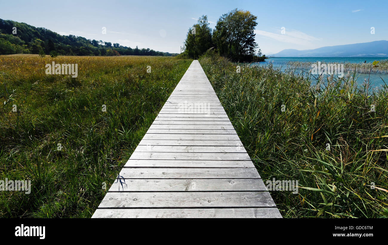 Fußgängerbrücke, Ried Stockfoto