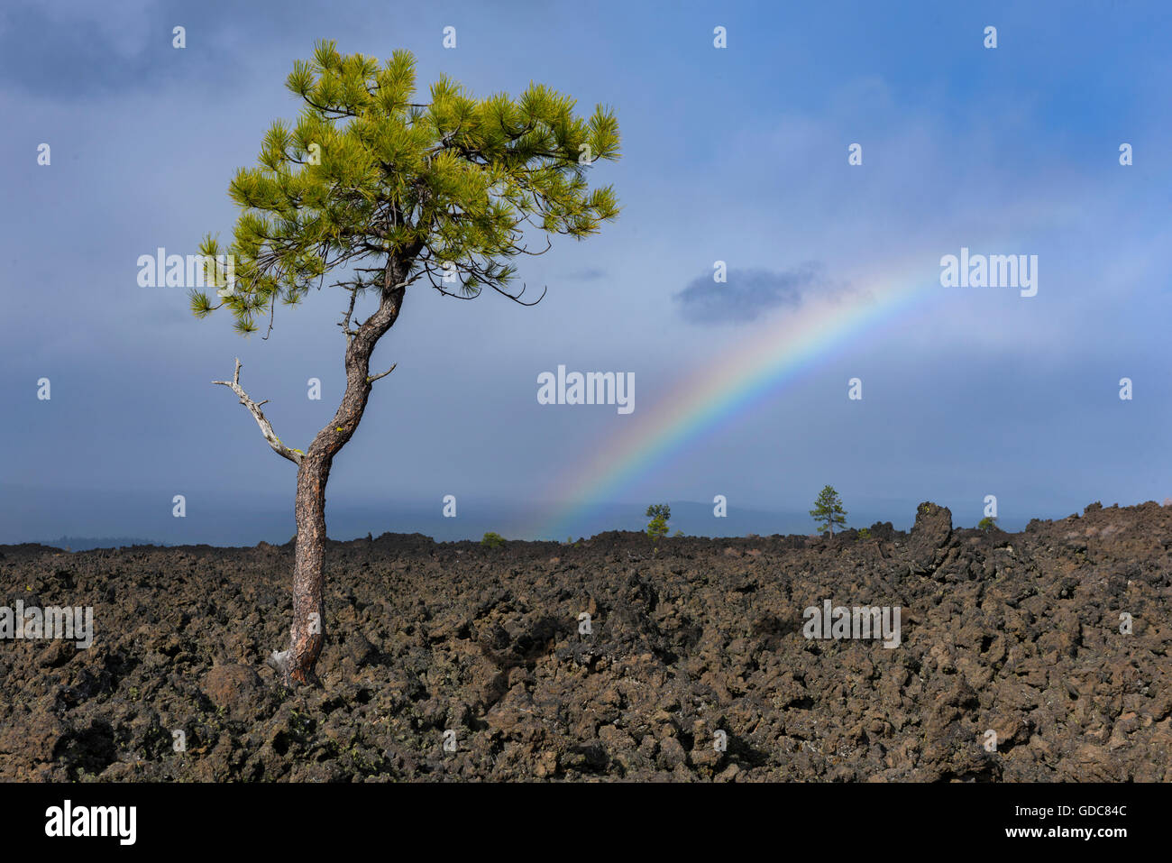 USA, Oregon, Deschutes County, Bend, Newberry National Volcanic Monument, Deschutes National Forest, Lava Butte Stockfoto