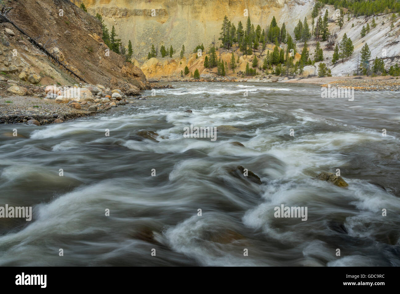 USA, Wyoming, Yellowstone, Nationalparks, UNESCO-Welterbe, Yellowstone River canyon Stockfoto
