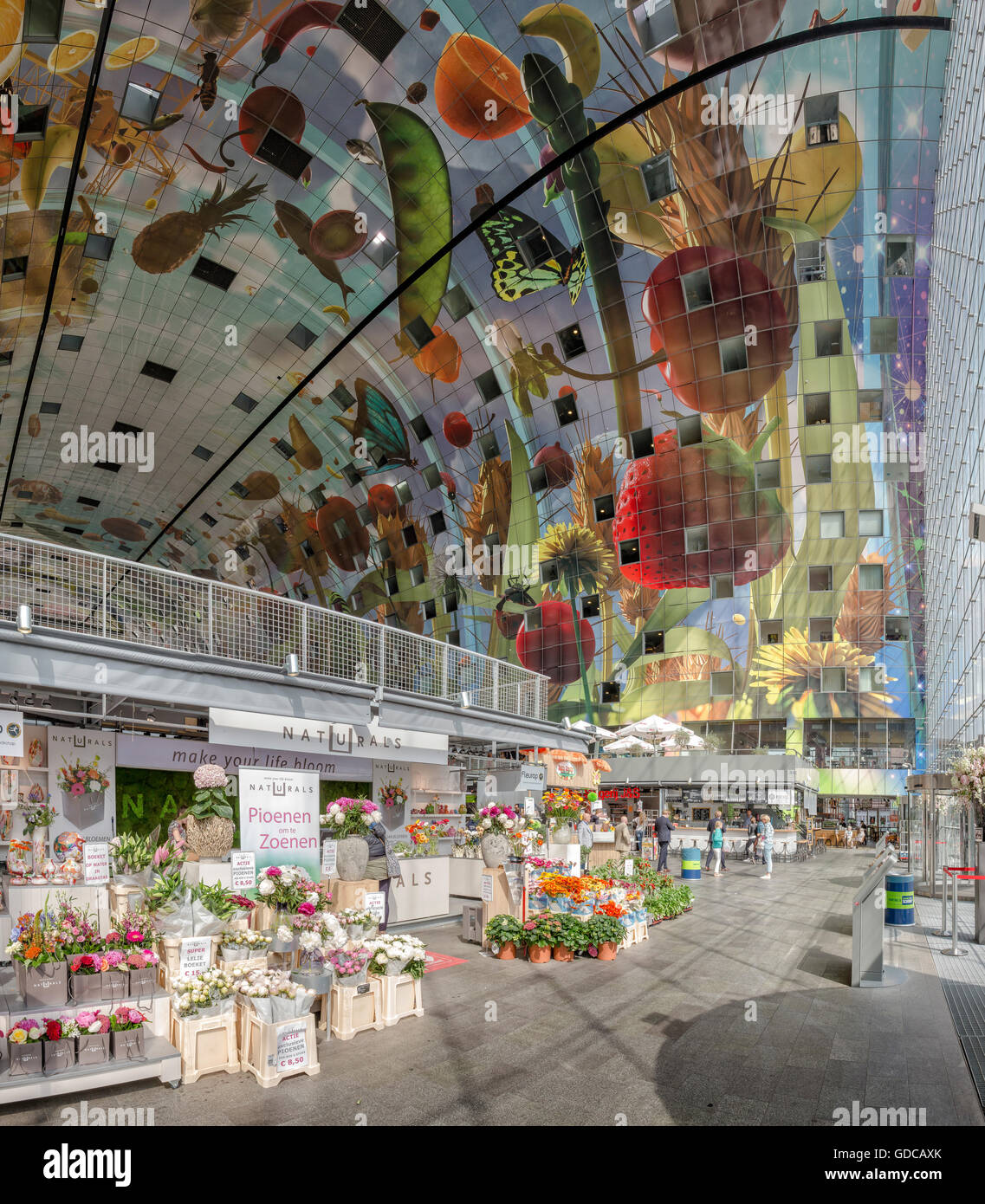 Rotterdam, die überdachte Markthalle, das Innere mit den bemalten Decke Stockfoto
