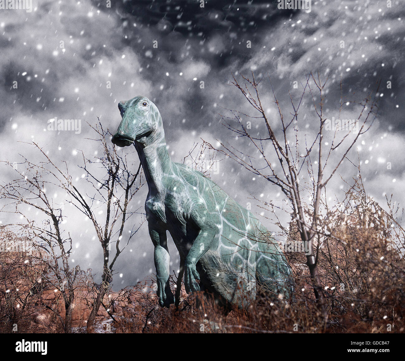 Anatosaurus, zweibeinigen Ente-billed Dinosaurier Hadrosaurier der späten Kreidezeit, gefunden als Fossilien in den nordamerikanischen Felsen 70 Millionen auf 65 Millionen Jahre alt. Stockfoto