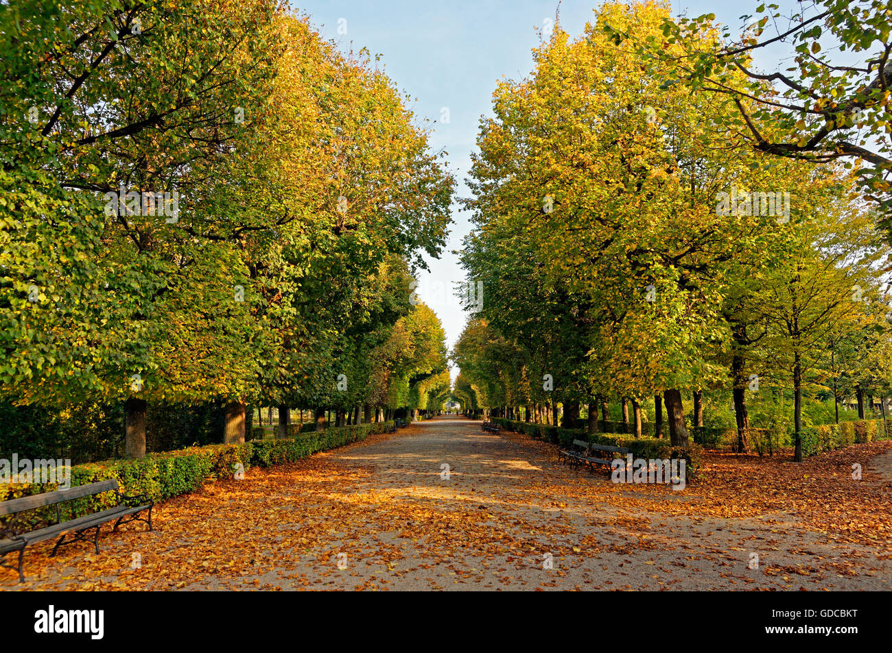 Schloss Schönbrunn Stockfoto