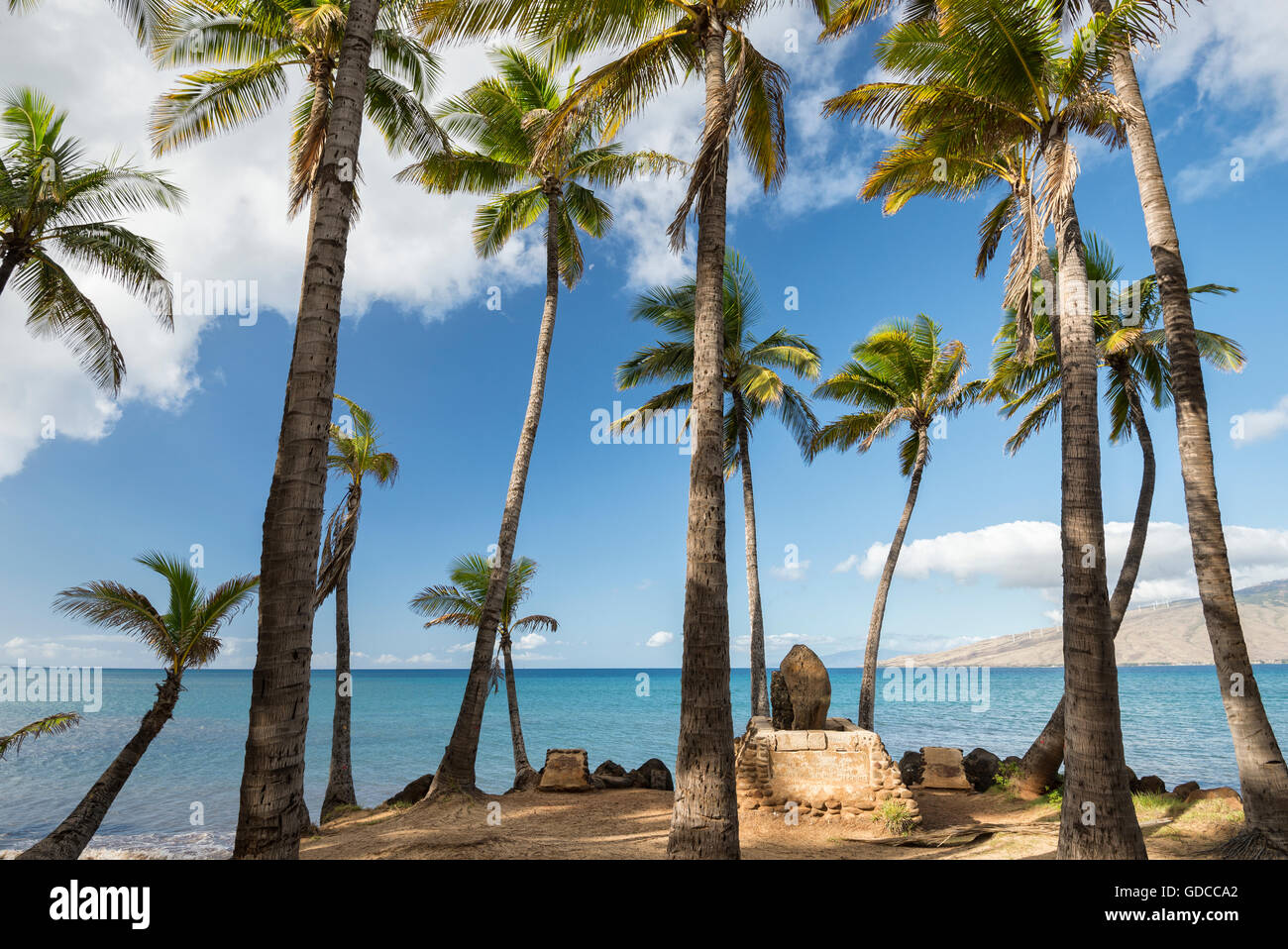 USA, Vereinigte Staaten, Amerika, Hawaii, Maui Kihei, Strand Stockfoto