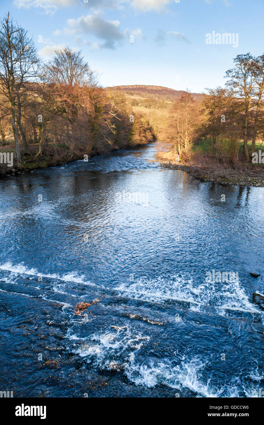 Fluss Derwent, Derbyshire durch den Peak District im Frühjahr fließt. Eine Ansicht von Leadmill Brücke, Hathersage, Derbyshire, England, Großbritannien Stockfoto