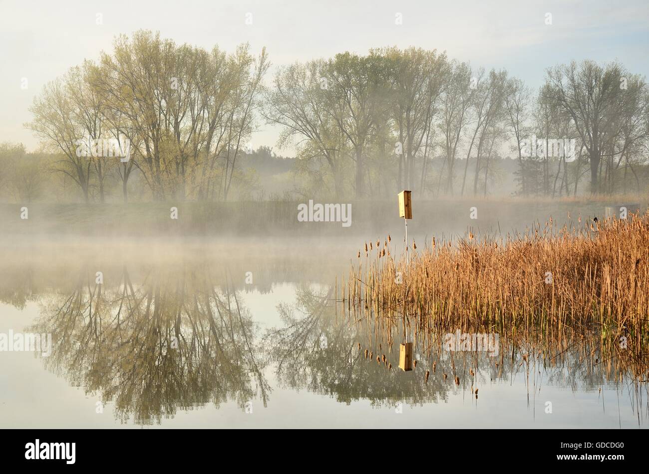 Monring Reflexionen über einen ruhigen Teich von der Rice Creek North Regional Trail in Shoreview, Minnesota Stockfoto