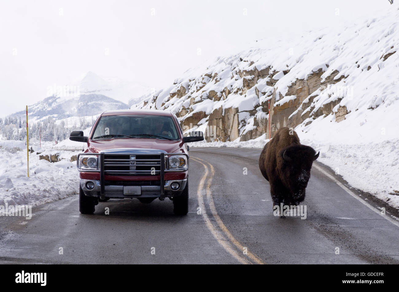 Straße, Golden Gate Canyon, Schnee, Yellowstone-Nationalpark, Wyoming, USA Stockfoto
