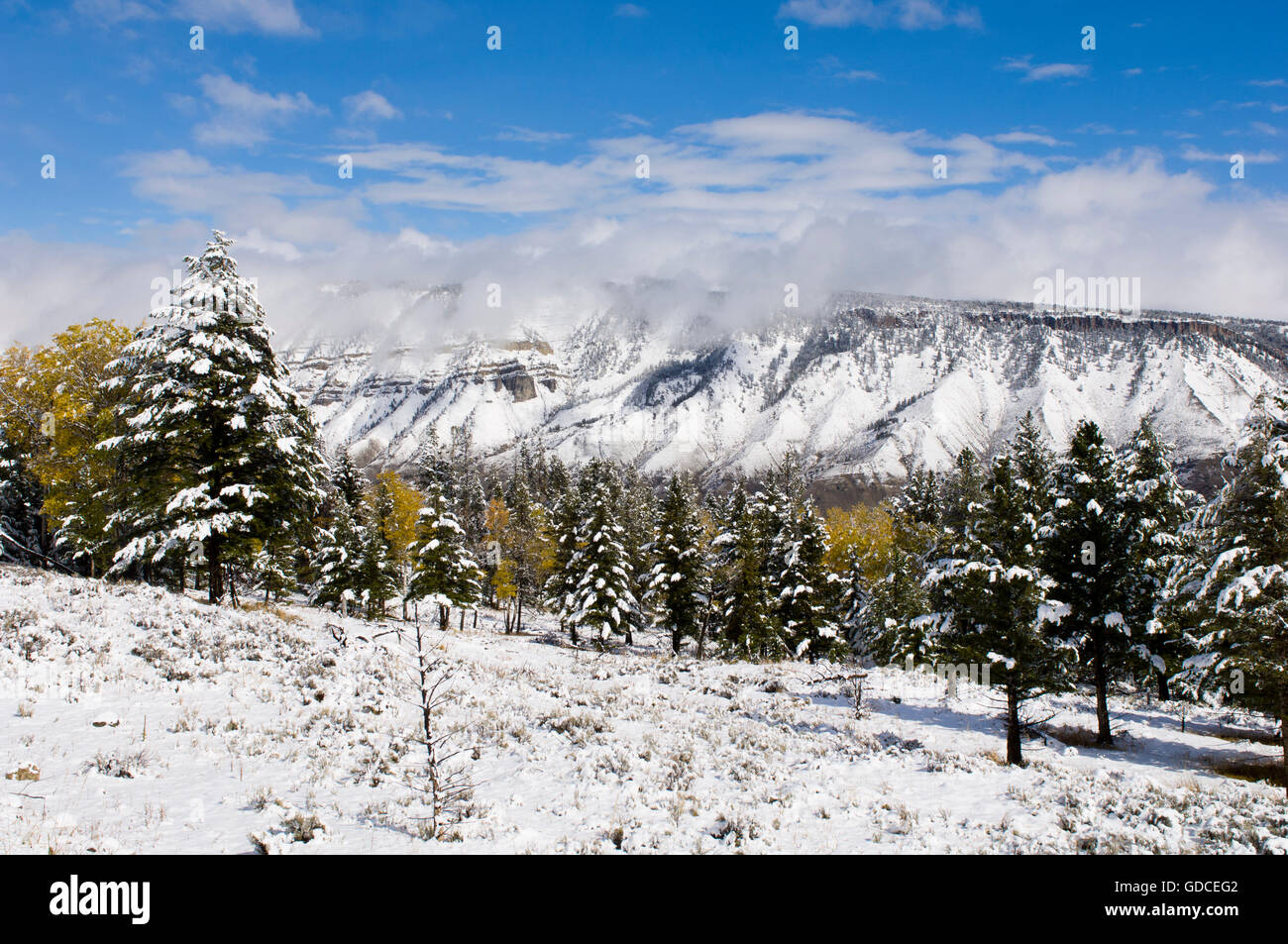 Yellowstone-Nationalpark, Wyoming, USA Stockfoto