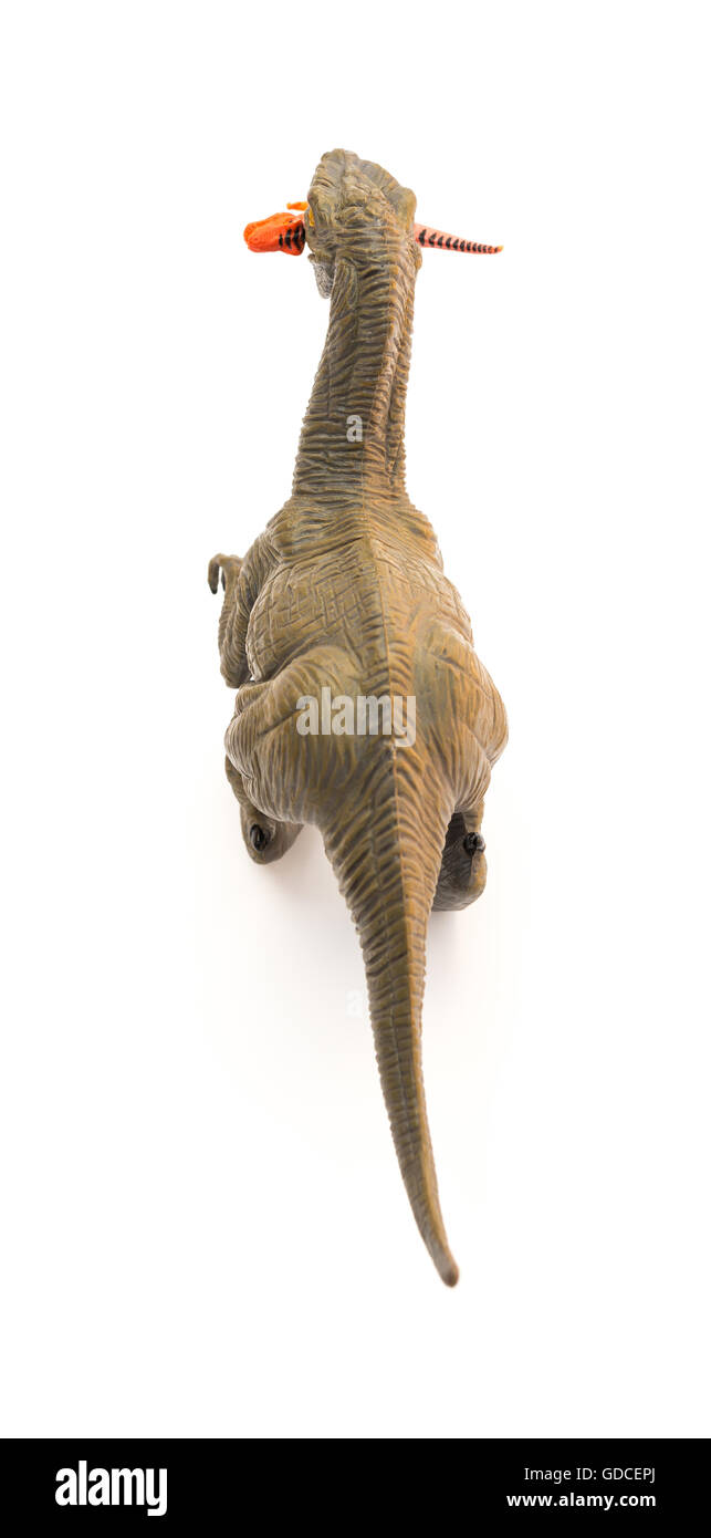 Draufsicht Deinonychus beißen einen kleineren Dinosaurier auf weißem Hintergrund Stockfoto