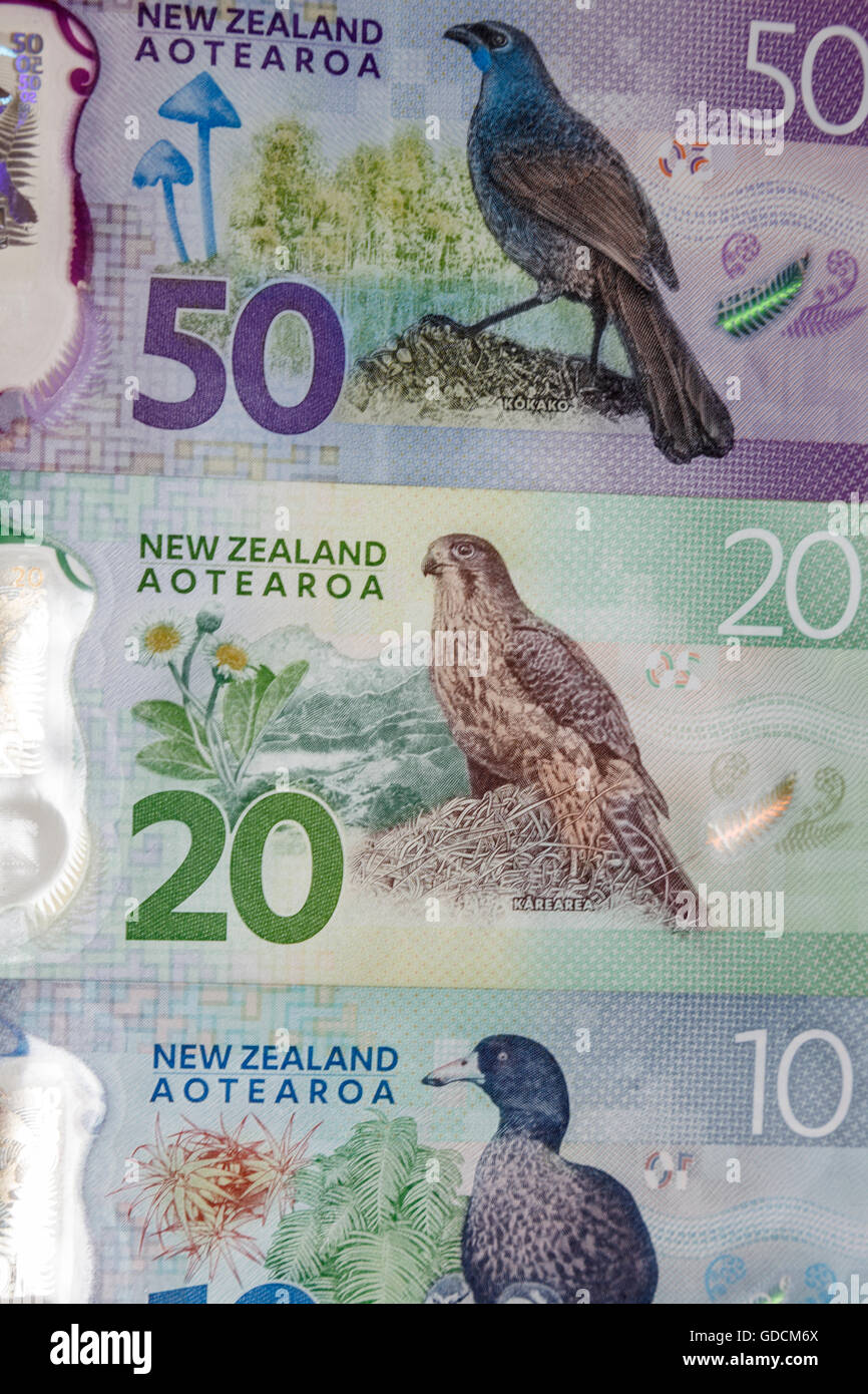 Neue zweite Generation Plastikpolymer New Zealand $50-$10-$20 Kiwi-Dollar-Banknoten, Rückseite Stockfoto