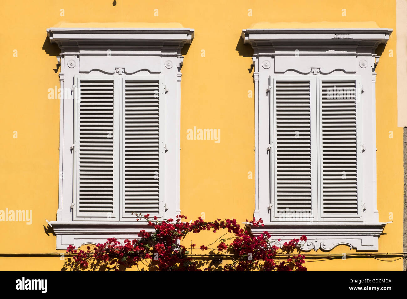Fensterläden an der gelben Fassade des Hotel Il Guelfo Blanco, Florenz, Italien Stockfoto