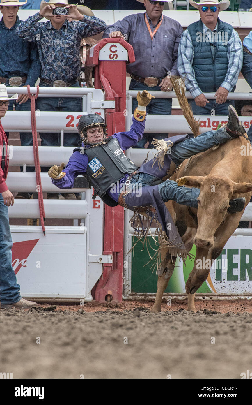 Junior Steer Fahrer bei der Calgary Stampede Stockfoto