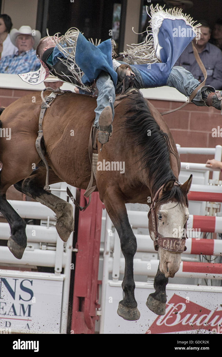 Bareback Rodeo-Reiter bei der Calgary Stampede Stockfoto