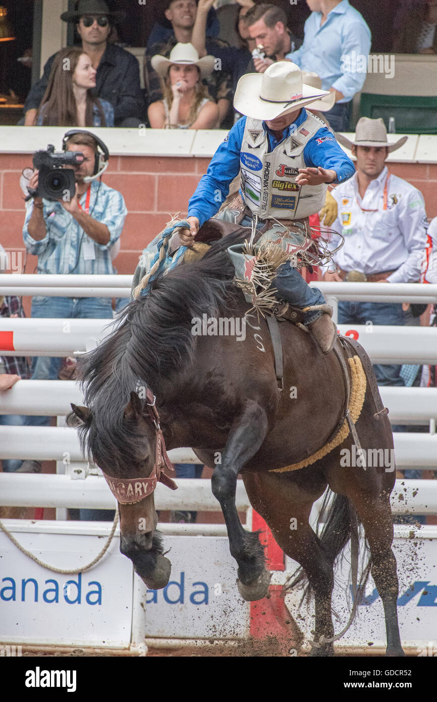 Bareback Rodeo-Reiter bei der Calgary Stampede Stockfoto