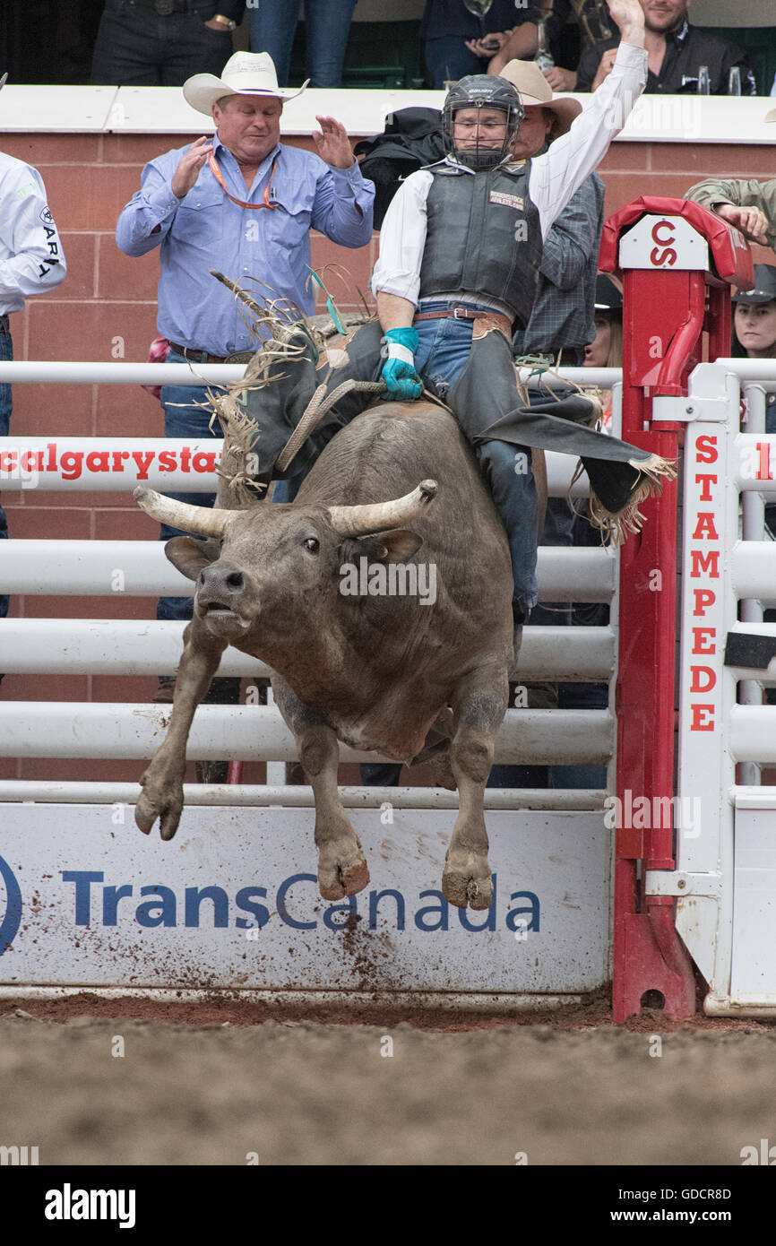 Bull-Fahrer bei der Calgary Stampede Stockfoto
